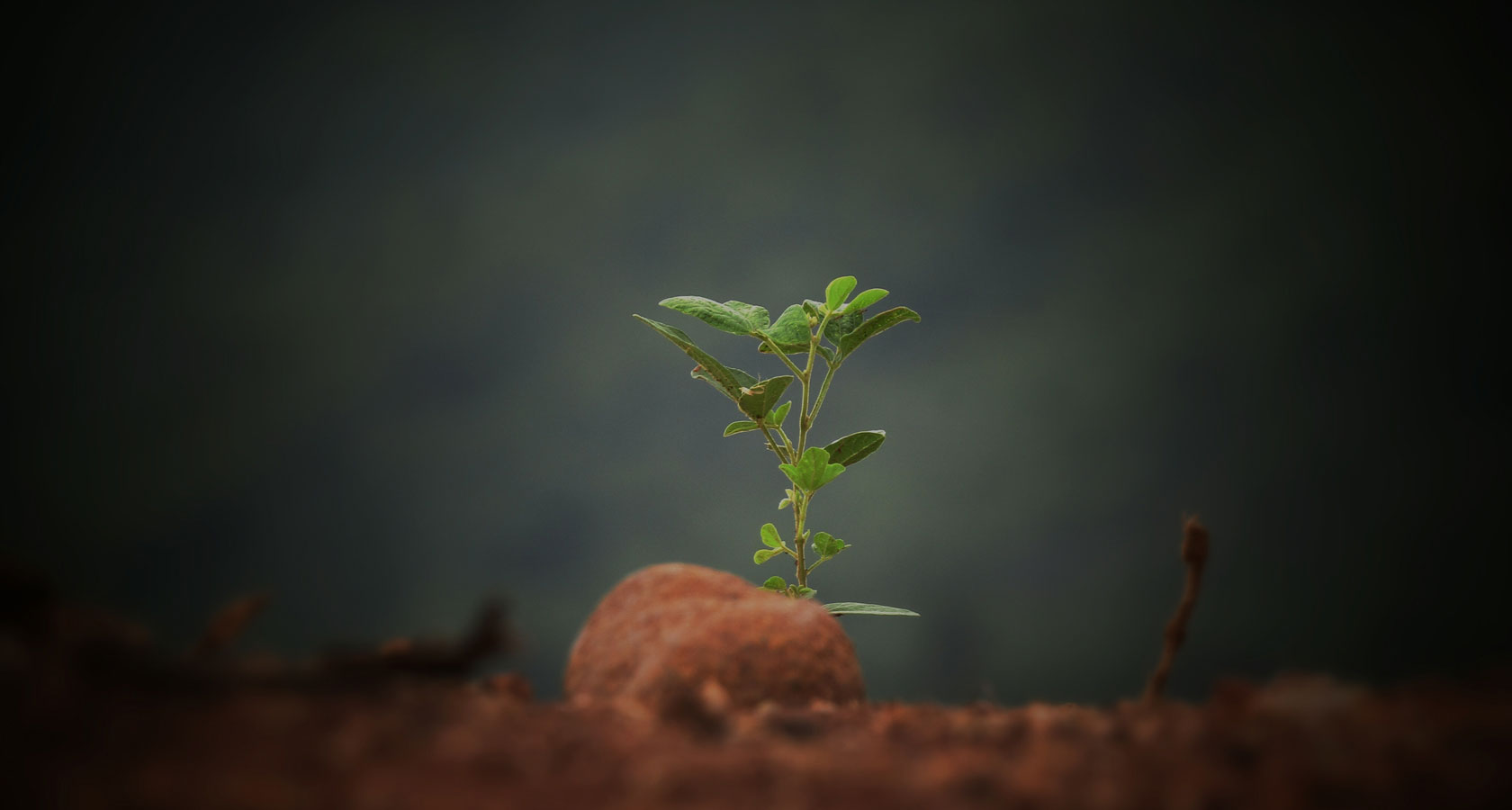 博猫游戏·(中国)官网登录入口